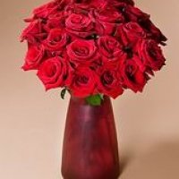 For Your Love